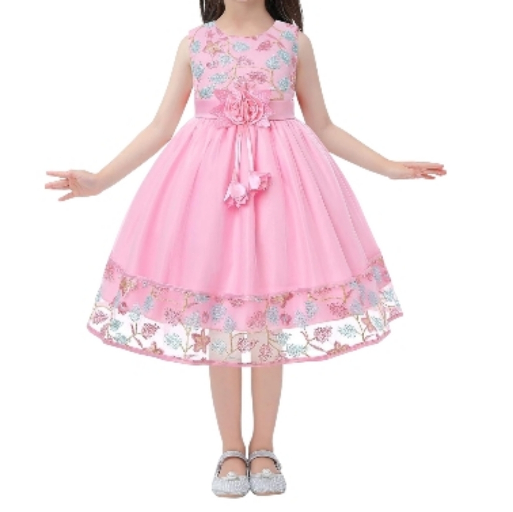 Elegant Embroider Special Occasion Princess Dress Pink Sz 5T